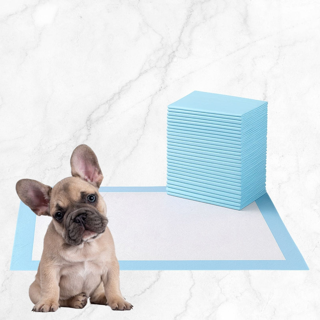 Puppy Pads | Absorbent Pee Pads