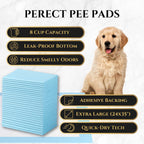 Puppy Pads | Absorbent Pee Pads